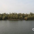 IMG_824766
