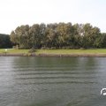 IMG_824771
