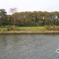 IMG_824812