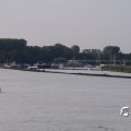 IMGP0566