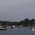 IMGP0579