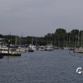 IMGP0581
