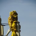 _IGP0339