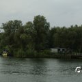 _IGP0596