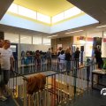 IMG_825176