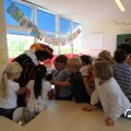 IMG_825262