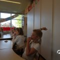 IMG_825283