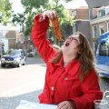 IMG_826164