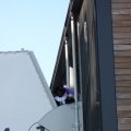 IMG_826733