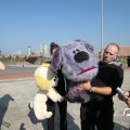IMG_826981