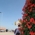 IMG_826997
