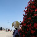 IMG_826998