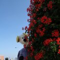 IMG_827000