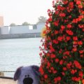 IMG_827038