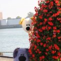 IMG_827039