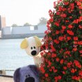 IMG_827040