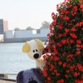 IMG_827042
