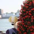 IMG_827043