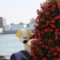 IMG_827044