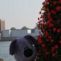 IMG_827051