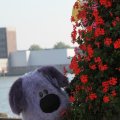 IMG_827054