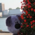 IMG_827056