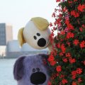 IMG_827057
