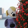 IMG_827058