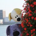 IMG_827059