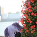 IMG_827060