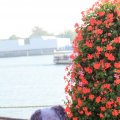 IMG_827065