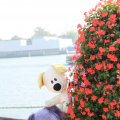 IMG_827066