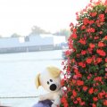 IMG_827067