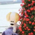 IMG_827069