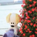 IMG_827070