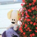 IMG_827072