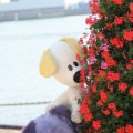 IMG_827073