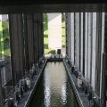 IMG_181319