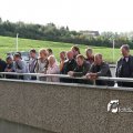 IMG_181345