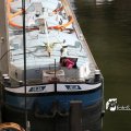 IMG_181352