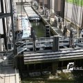 IMG_181355