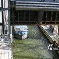 IMG_181360