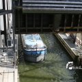 IMG_181361