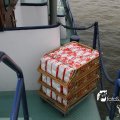 IMG_181394