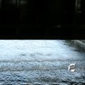 IMG_181528
