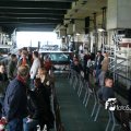 IMG_181529
