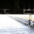 IMG_181535