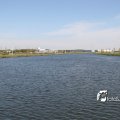 IMG_181577