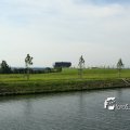 IMG_181585