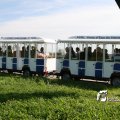 IMG_181670
